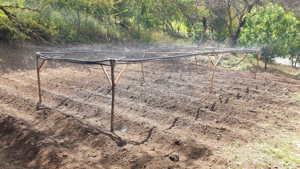 Een verplaatsbaar irrigatieframe gemaakt van Eucalyptus-hout